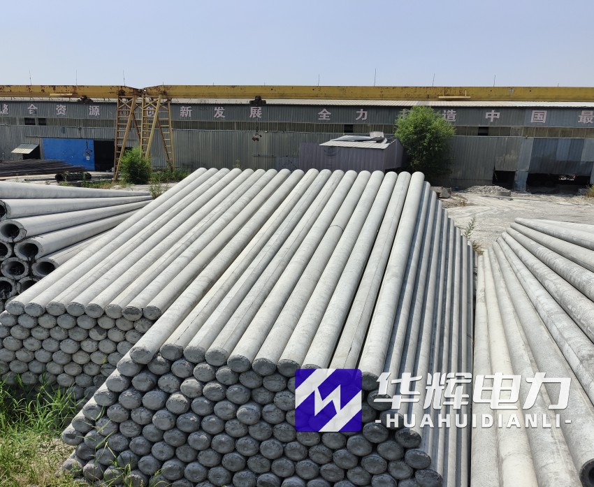 沙湖原种场15米水泥电线杆